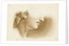 Study of the lower part of a human face, possibly a statue by Margaret Louisa Herschel