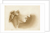 Study of the lower part of a human face, possibly a statue by Margaret Louisa Herschel