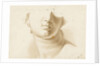 Study of the lower half of a human face, possibly a statue by Margaret Louisa Herschel