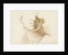 Study of the lower half of a human face, possibly a statue by Margaret Louisa Herschel