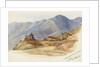 On the road between Muccorice and Simla, 11 October 1877' by Matilda Rose Herschel