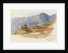 On the road between Muccorice and Simla, 11 October 1877' by Matilda Rose Herschel