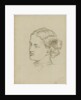 Julia by Matilda Rose Herschel