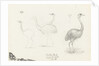 Wooley Park, 27 July 1878 by S.E. Hardcastle