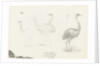 Wooley Park, 27 July 1878 by S.E. Hardcastle