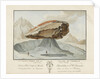 La Grosse Pierre sur le Glacier de Vorderaar. Canton de Berne Province d'Oberhasbi by unknown