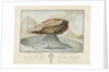 La Grosse Pierre sur le Glacier de Vorderaar. Canton de Berne Province d'Oberhasbi by unknown