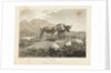 Cattle by Robert Hills