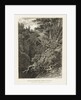 Devil's Bridge, North Wales by Paul Sandby Munn