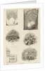 Page from Charles Knight's 'Old England: A Pictorial Museum' by Unknown