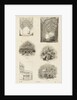 Page from Charles Knight's 'Old England: A Pictorial Museum' by Unknown
