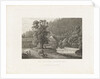 The abbey of Lichtenthal near Baden by C. Frommel