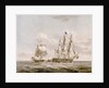 Action between HMS 'Java' and American frigate 'Constitution' by Buchanan