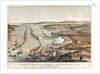 Review of the fleet at Spithead by the Queen, 23 April 1856. by Thomas Packer
