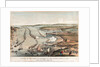 Review of the fleet at Spithead by the Queen, 23 April 1856. by Thomas Packer
