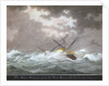 Brig schooner 'Cosmopolitan' of Ipswich by Nicholas Cammillieri