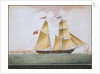 Brig schooner 'Cosmopolitan' of Ipswich by Nicholas Cammillieri