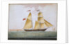 Brig schooner 'Cosmopolitan' of Ipswich by Nicholas Cammillieri