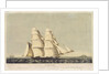 The opium clipper brig 'Anonyma' in the Straits of Malacca by Norman Hill