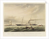The iron steam yacht 'Peterhoff' by Thomas Sewell Robins