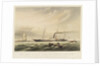 The iron steam yacht 'Peterhoff' by Thomas Sewell Robins