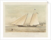 The schooner yacht 'America' by Thomas Sewell Robins