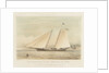 The schooner yacht 'America' by Thomas Sewell Robins