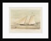 The schooner yacht 'America' by Thomas Sewell Robins