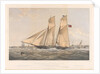 The Iron Schooner Yacht Titania, 100 Tons by Thomas Goldsworthy Dutton; William Foster; Day & Son