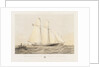 The schooner yacht 'Sverige' by Thomas Sewell Robins