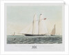 The schooner yacht 'Rosalind' by Thomas Sewell Robins