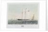 The schooner yacht 'Rosalind' by Thomas Sewell Robins