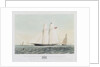 The schooner yacht 'Rosalind' by Thomas Sewell Robins