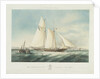 The schooner yacht 'Czarina' by Thomas Sewell Robins