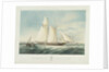 The schooner yacht 'Czarina' by Thomas Sewell Robins