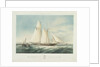 The schooner yacht 'Czarina' by Thomas Sewell Robins