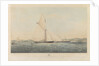 The cutter yacht 'Dagmar' by Thomas Goldsworth Dutton