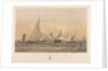 The Cutter Yacht Muriel,  40 Tons, Winning the Cup given by the Royal Albert Yacht Club, August 19th 1869 by Arthur Wellington Fowles