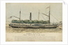 The steam vessel 'Ramona' by Unknown