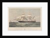 Sardinian screw steamship 'Genova' (It, 1859) belonging to the Transatlantic Steam Navigation Company of Genoa by Thomas Goldsworth Dutton