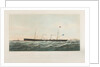 The SS 'Samphire' and 'Maid of Kent' by Thomas Goldsworth Dutton