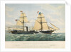 The 'Empress Eugenie' by Maclure