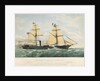 The 'Empress Eugenie' by Maclure