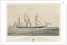 Steamship 'Torino' ad Elice di Bandiera Sarda 1859 Tonnellate 300 Cavalli Della Compagnia Transatlantica per la Navigazione a vapore by Thomas Goldsworth Dutton
