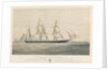 Steamship 'Torino' ad Elice di Bandiera Sarda 1859 Tonnellate 300 Cavalli Della Compagnia Transatlantica per la Navigazione a vapore by Thomas Goldsworth Dutton
