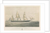Steamship 'Torino' ad Elice di Bandiera Sarda 1859 Tonnellate 300 Cavalli Della Compagnia Transatlantica per la Navigazione a vapore by Thomas Goldsworth Dutton