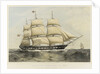 Clipper ship 'Newcastle' by Thomas Goldsworth Dutton