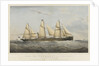 Steam ship 'Viceroy by Thomas Goldsworth Dutton