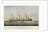 Steam ship 'Viceroy by Thomas Goldsworth Dutton