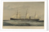 Screw steam ship 'Sultan' by Thomas Goldsworth Dutton